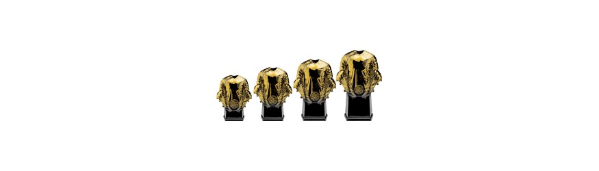 GOLD INVINCIBLE FOOTBALL RESIN - INDIVIDUAL PLAYER AWARDS - 9 INSERT OPTIONS  - 220MM